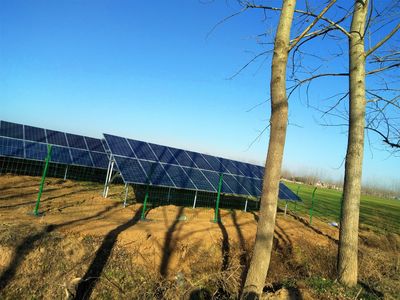 駐馬店行記 光伏點亮豫南鄉村，新能源照進現實生活